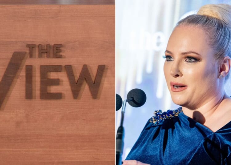 Meghan McCain Roasts Ladies on 'The View,' Calls Them Pathetic, Crazy and Old