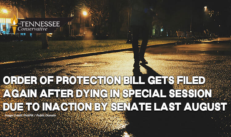 Order Of Protection Bill Gets Filed Again After Dying In Special Session Due To Inaction By Senate Last August