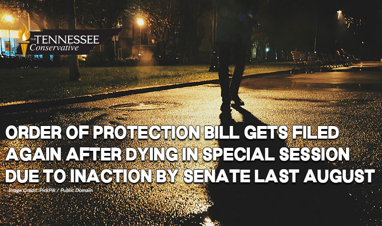 Order Of Protection Bill Gets Filed Again After Dying In Special Session Due To Inaction By Senate Last August