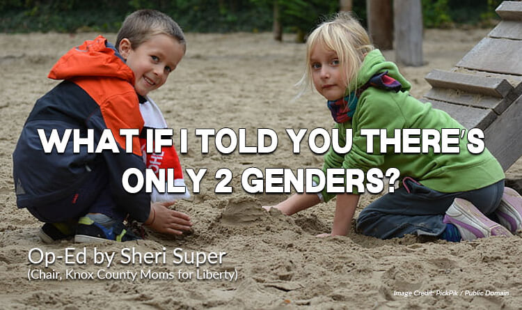 What If I Told You There’s Only 2 Genders? (Op-Ed)