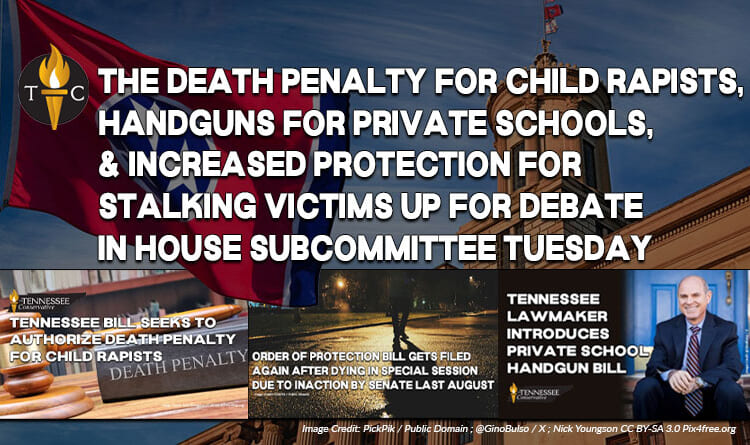 The Death Penalty For Child Rapists, Handguns For Private Schools, & Increased Protection For Stalking Victims Up For Debate In House Subcommittee Tuesday