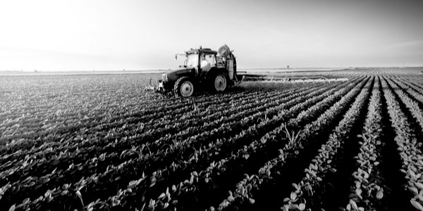 Bitter harvest for the left’s war on farmers