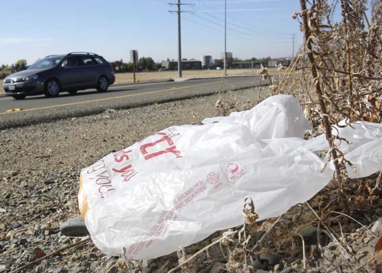 They Banned Plastic Bags and Increased Plastic Usage by 300% – HotAir