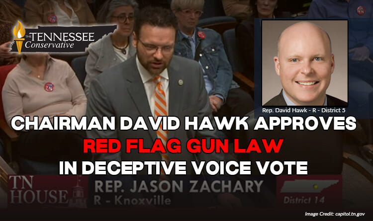 Chairman David Hawk Approves Tennessee Red Flag Gun Law In Deceptive Voice Vote