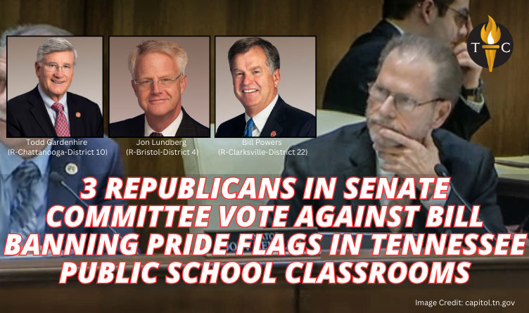 Three Republicans In Senate Committee Vote Against Bill Banning Pride Flags In Tennessee Public School Classrooms 