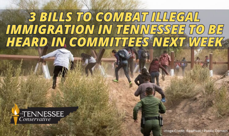 3 Bills To Combat Illegal Immigration In Tennessee To Be Heard In Committees Next Week