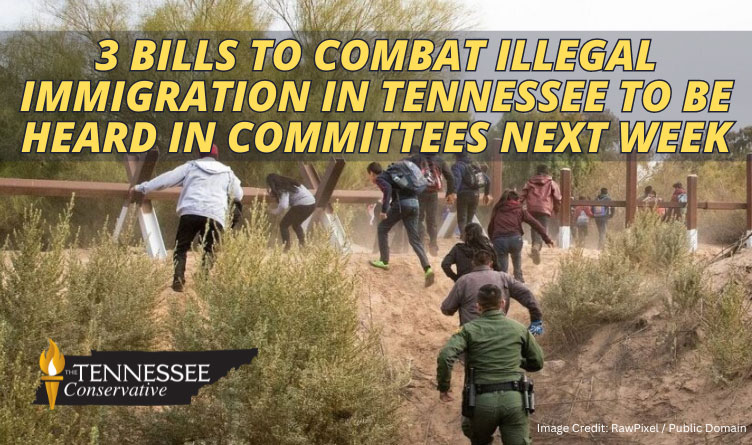 3 Bills To Combat Illegal Immigration In Tennessee To Be Heard In Committees Next Week