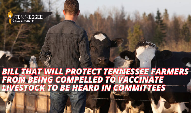 Bill That Will Protect Tennessee Farmers From Being Compelled To Vaccinate Livestock To Be Heard In Committees