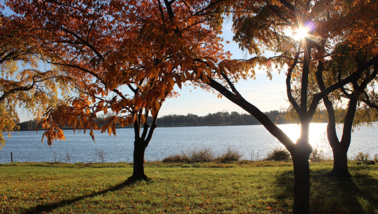 American History on the Banks of the Potomac