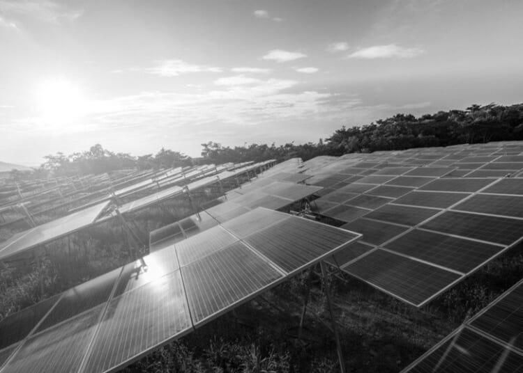 How we halted the solar farm juggernaut