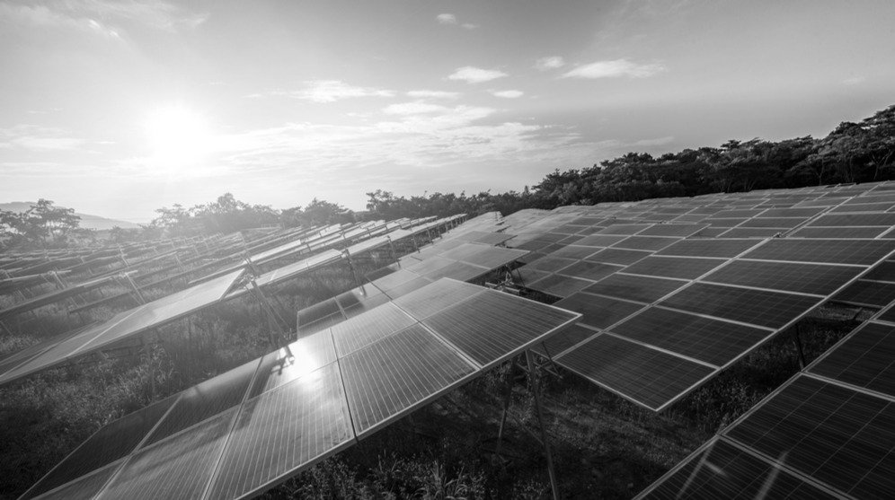 How we halted the solar farm juggernaut