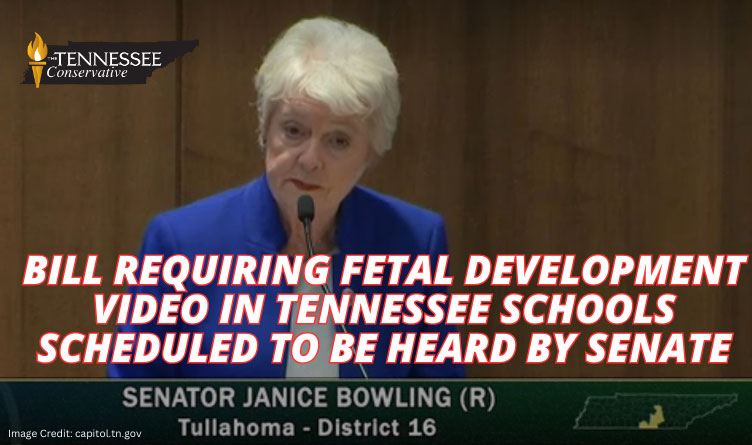 Bill Requiring Fetal Development Video In Tennessee Schools Scheduled To Be Heard By Senate