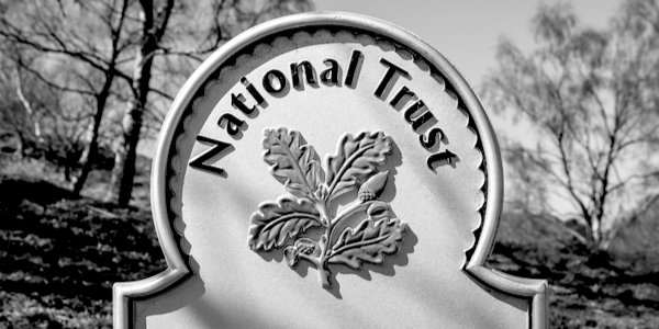 National Trust clutches at straw in the Great Wokery Stakes