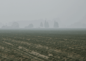 Afraid to Change ~ The Imaginative Conservative