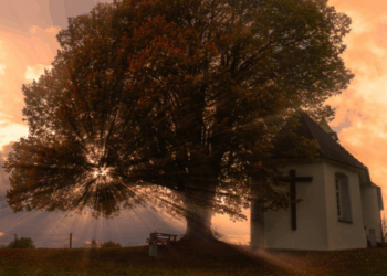 Gentle Whispers of Saint Francis ~ The Imaginative Conservative