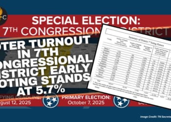 Voter Turnout In 7th Congressional District Early Voting Stands At 5.7%