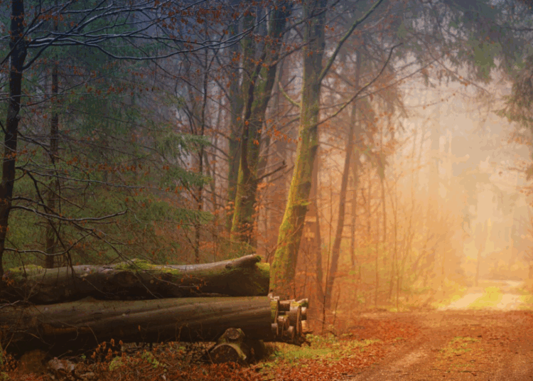 The Twilight Country of October ~ The Imaginative Conservative