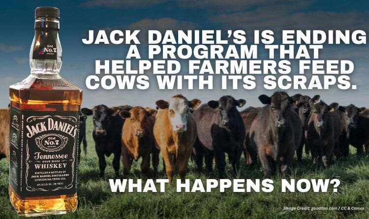 Jack Daniel’s Is Ending A Program That Helped Farmers Feed Cows With Its Scraps. What Happens Now?