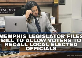 Memphis Legislator Files Bill To Allow Voters To Recall Local Elected Officials