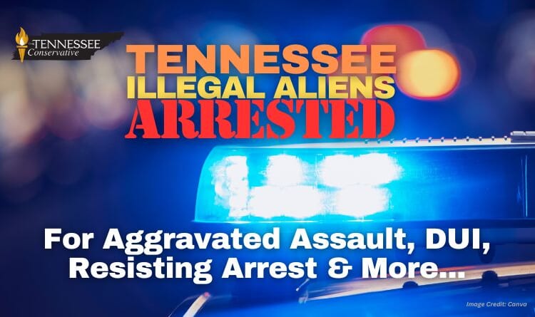 Tennessee Illegal Aliens Arrested For Aggravated Assault, DUI, Resisting Arrest & More...