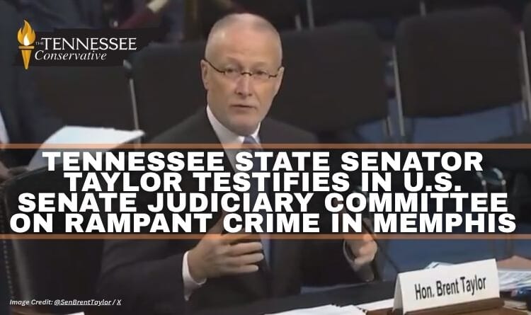 Tennessee State Senator Taylor Testifies In U.S. Senate Judiciary Committee On Rampant Crime In Memphis