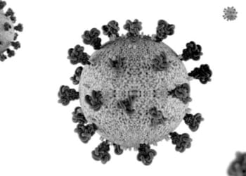 The covid con is the con that keeps on conning