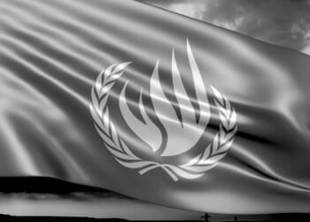 A pointless UN junket? No, a declaration of war on freedom