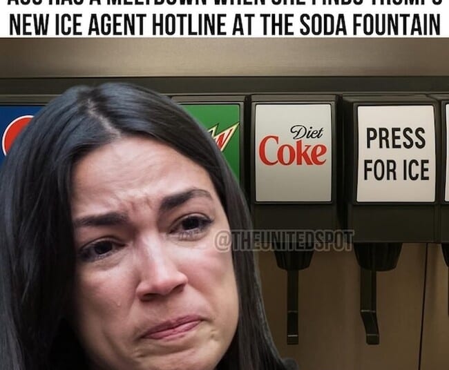 AWFL Convinced That She Can Break the Law Because 'I'm Just a Mom' – HotAir