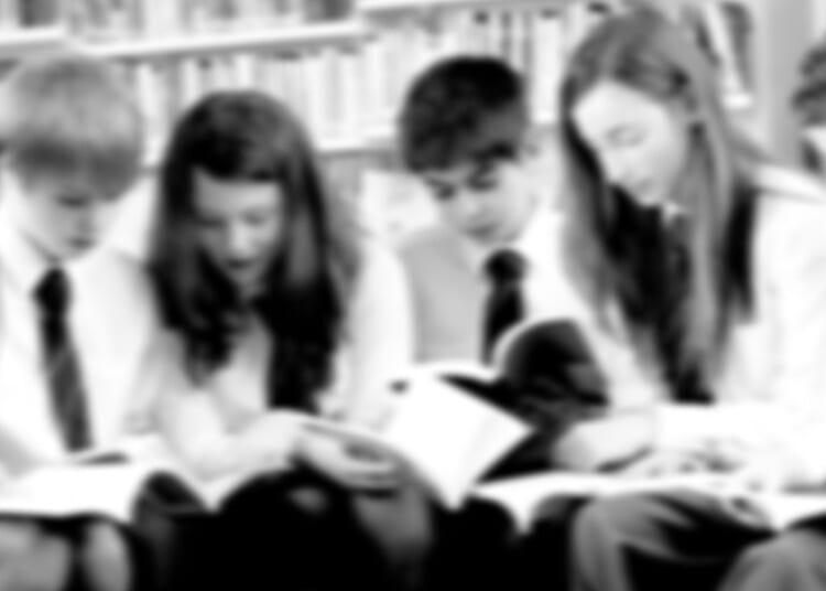 How can leftie teachers get away with this blatant indoctrination?