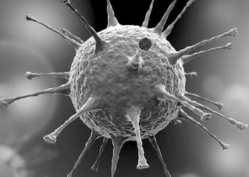 Is US flu guru the fox in charge of the henhouse?