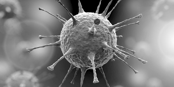 Is US flu guru the fox in charge of the henhouse?