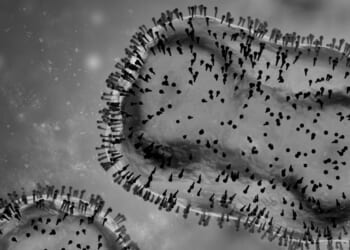 Monkeypox – still not very deadly at all