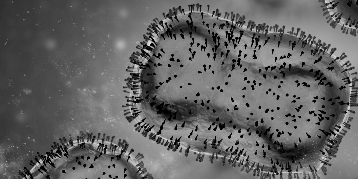 Monkeypox – still not very deadly at all