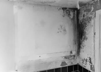 Scandal of shoddy military homes as cash is lavished on asylum seekers