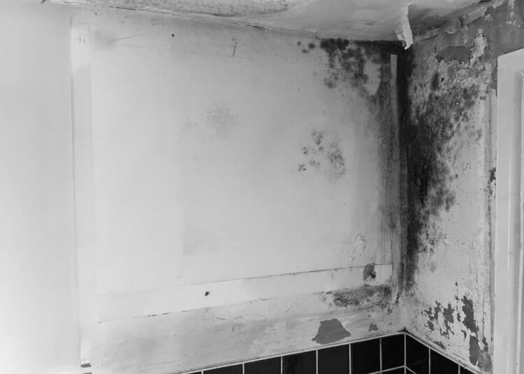 Scandal of shoddy military homes as cash is lavished on asylum seekers