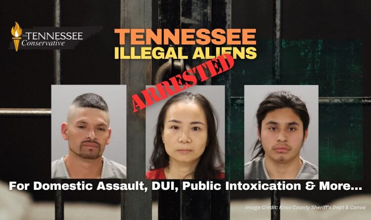 Tennessee Illegal Aliens Arrested For Domestic Assault, DUI, Public Intoxication & More…