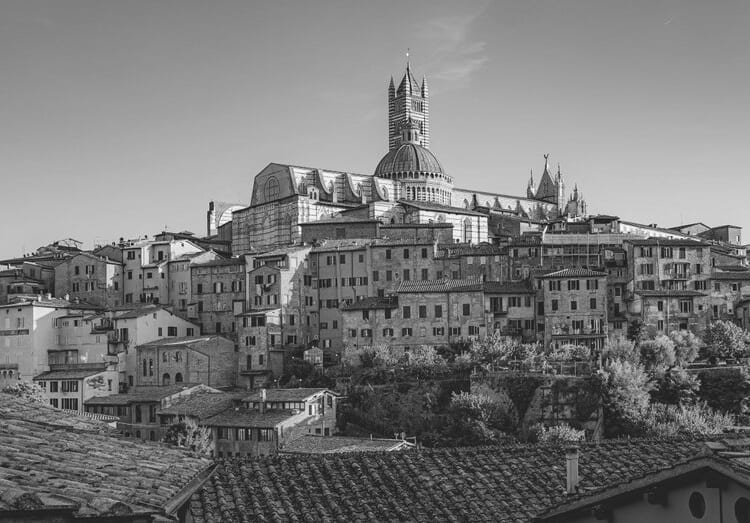 The light that medieval Siena can shine on modern life