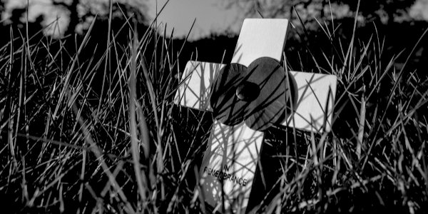 We remember the fallen – while foreign criminals mop up taxpayer cash