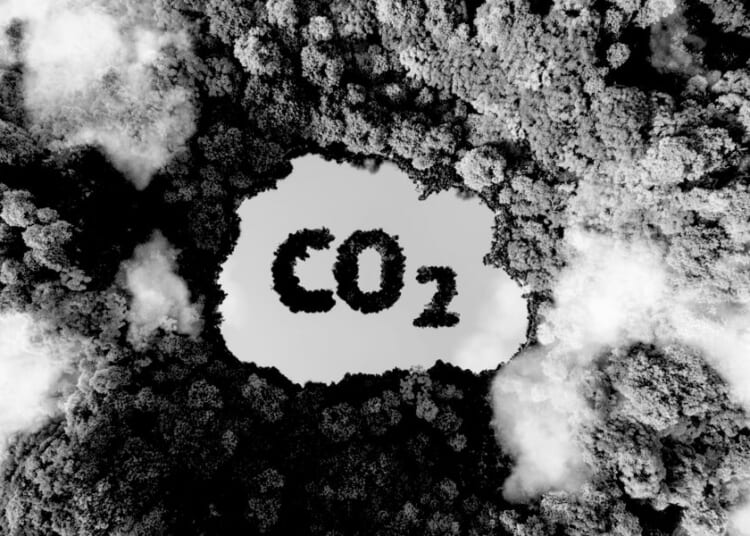 Why the CO2 hysteria? Because that’s where the money is