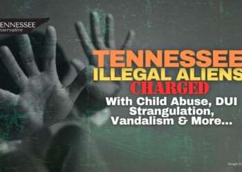 Tennessee Illegal Aliens Charged With Child Abuse, DUI Strangulation, Vandalism & More…