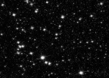 The modern bureaucrat, turning gold into excrement