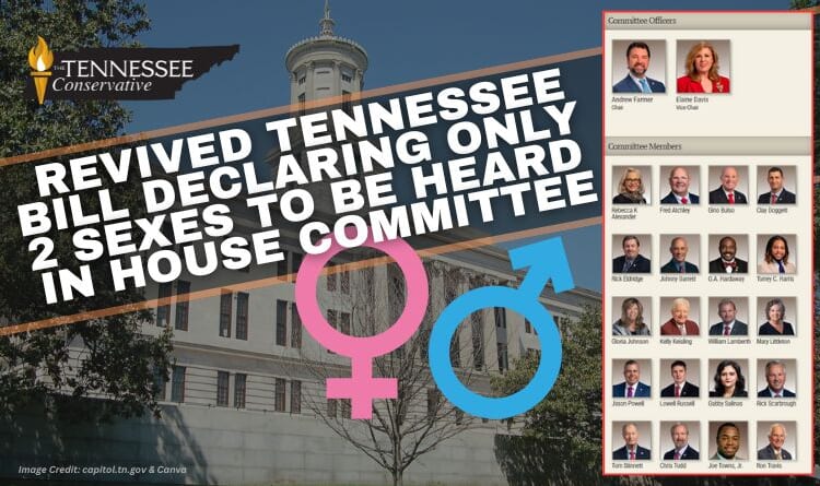 Revived Tennessee Bill Declaring Only 2 Sexes To Be Heard In House Committee