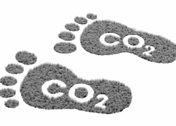 Big Brother is watching your carbon footprint