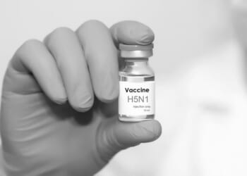 Cattle catch bird flu close to US virus research facility