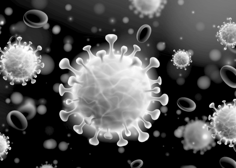 Covid – not so much a disease as a fascist device