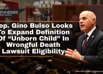 Rep. Gino Bulso Looks To Expand Definition Of “Unborn Child” In Wrongful Death Lawsuit Eligibility