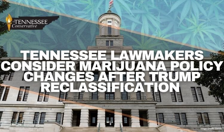 Tennessee Lawmakers Consider Marijuana Policy Changes After Trump Reclassification