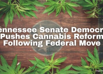 Tennessee Senate Democrat Pushes Cannabis Reform Following Federal Move