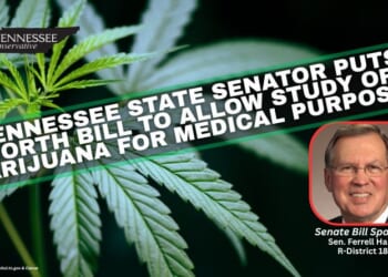 Tennessee State Senator Puts Forth Bill To Allow Study Of Marijuana For Medical Purposes