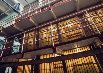 When Your TDS Takes You to a Refugee Camp – HotAir